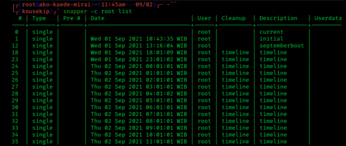 لایسنس اسنپ شات